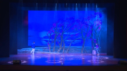 采茶戏《三家坪》6高清