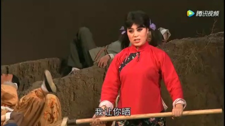 《大漠红柳》全本 梅花奖获得者卫小莉下载