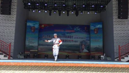 现代京剧《沙家滨选段》高清