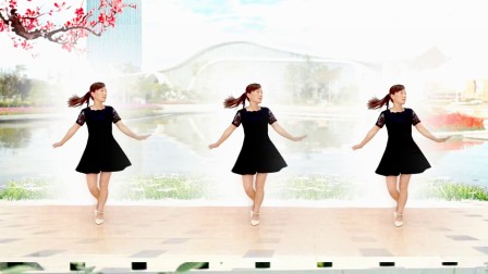 玫香广场舞原创32步拍手自由步《心痛DJ》附