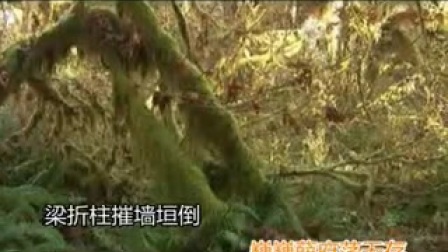 潮剧选段《薛刚哭坟》字幕版