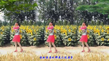 河北青青广场舞《花开的时候你就来看我》附