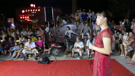 细阳广场豫剧演唱会下集