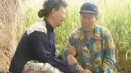 民间小调09下载