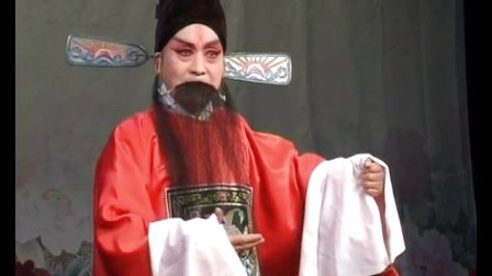 赵新文柳子戏《孙安动本》