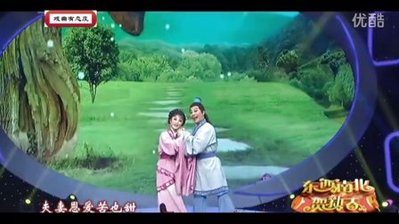 黄梅戏《天仙配》夫妻双双把家还字幕版下载