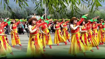 平罗西区辣妈队广场舞《卓玛》