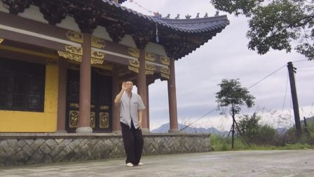陈氏太极拳小架