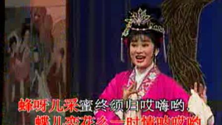 云南花灯伴奏《玉溪道情转走板》带字幕