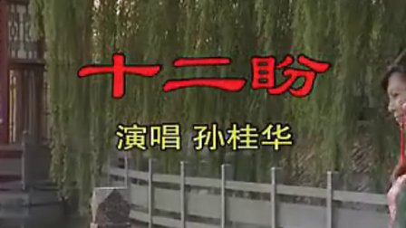 cjj民间小调 沂蒙小调《十二盼》孙桂华下载