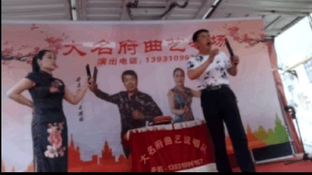 河南坠子《杨家将》2 王建国 范翠霞下载