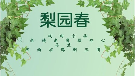 戏曲小品《老姨老舅操碎心》马兰  梨园春
