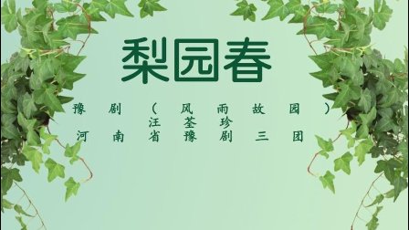 豫剧《风雨故园》汪荃珍 梨园春