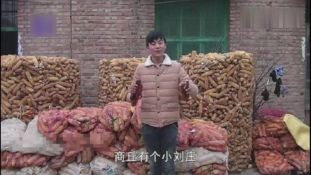 莲花落《商丘有个小刘庄》杨晓琼徒弟太 搞