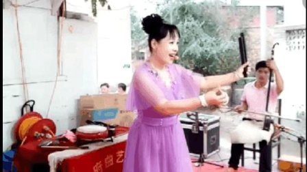 河南坠子《小八义》 贾秀英爱恋小周顺 河南
