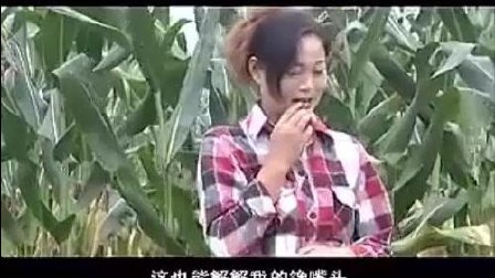 安徽民间小调《小寡妇串门》标清