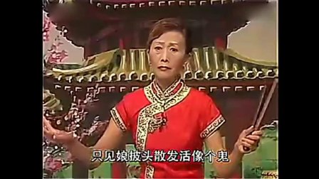 戏曲大全 河南坠子《少侠包公案》