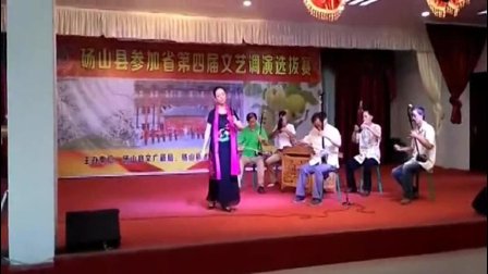 河南坠子《王玉阁》演唱