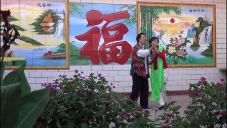 凉州区长城镇新庄村自乐班《天仙配》黄梅戏