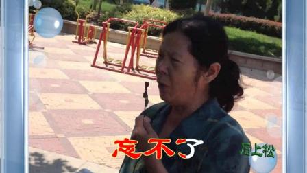 京剧《梁祝彩蝶飞彩莲舞》带字幕