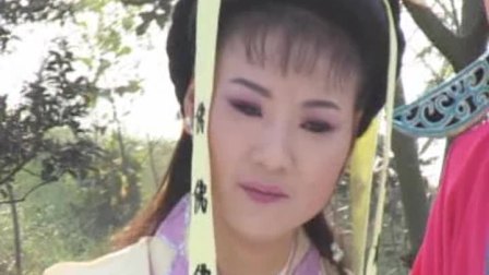 庐剧《害人不如害自己》 二
