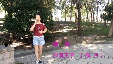 越剧《沙漠王子》叹月 演唱下载