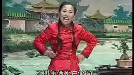 河南坠子《雷劈不孝女》