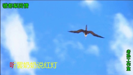 豫剧《红灯记》选段《听罢奶奶说红灯》