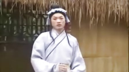 戏曲电影《刘海戏金蟾》黄梅戏