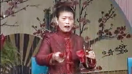 扬琴戏大鼓书《海瑞征南8》标清