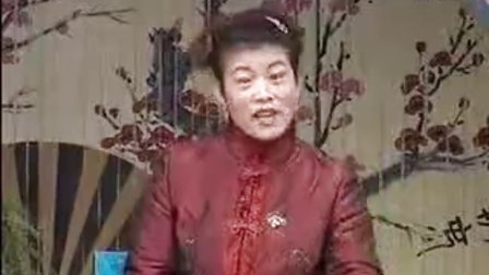扬琴戏大鼓书《海瑞征南》13大结局