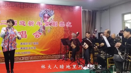 金玉奴《花烛夜勾起我绵绵长恨》标清