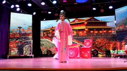 《庐剧兄弟奇缘片段》主演王小兰 高清下载