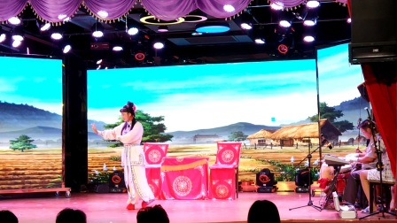 《庐剧兄妹奇缘片段》主演王小兰下载