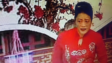 河南坠子呼杨合兵3