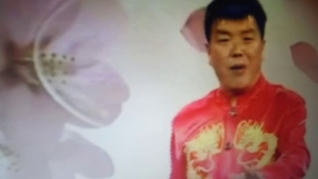 河南坠子《呼杨合兵》8