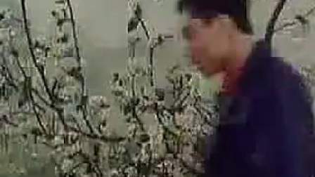 豫剧电影《金鸡引凤》全集 标清