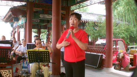 吕剧《李二嫂改嫁》选段 提起这个小老婆