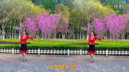 金灿灿广场舞《今生有你》超清教学版