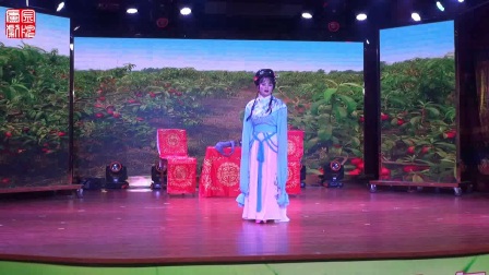 庐剧第五届戏迷乐《郑小娇》断膀舞台高清