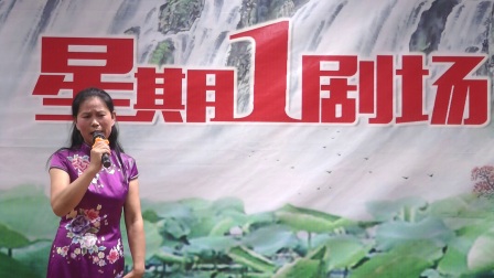 苏中凤仙淮剧社高清