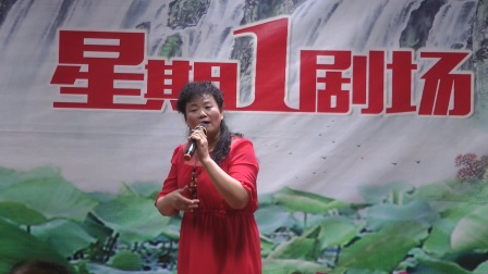 宝应苏中淮剧社团舞台演出