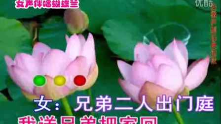 蝴蝶兰伴唱庐剧快板《十八里相送》1字幕版