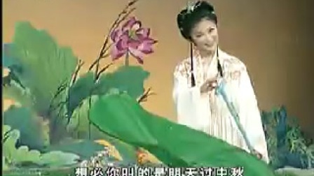 黄梅戏《挑女婿》对唱