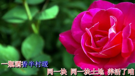 豫剧《村官李天成》我不是二百五带字幕
