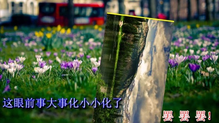 豫剧《宋王嫁妃》今天我好长见识 字幕版