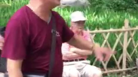 莲花落高清演出