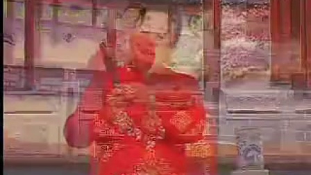 河南坠子《徐延忠搬兵》第21集
