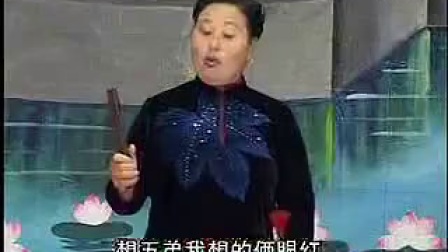 河南坠子《徐延忠搬兵》第35集