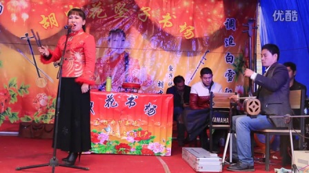 河南坠子《包公案》胡中花
